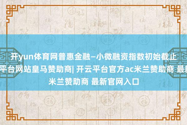 开yun体育网　　普惠金融—小微融资指数初始截止清爽-开云平台网站皇马赞助商| 开云平台官方ac米兰赞助商 最新官网入口